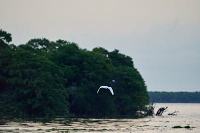 Happy family enjoying comfort